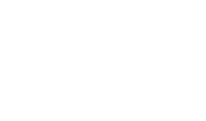The Maxim Shtraus Group